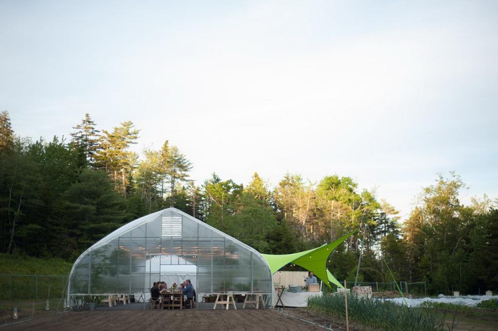 Point Lookout Hotell Lincolnville Restaurant bilde